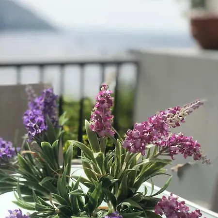 A Casa Dei Sasso Vista Mare Mozzafiato