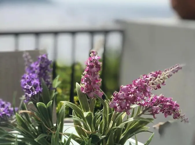 A Casa Dei Sasso, Vista Mare Mozzafiato!